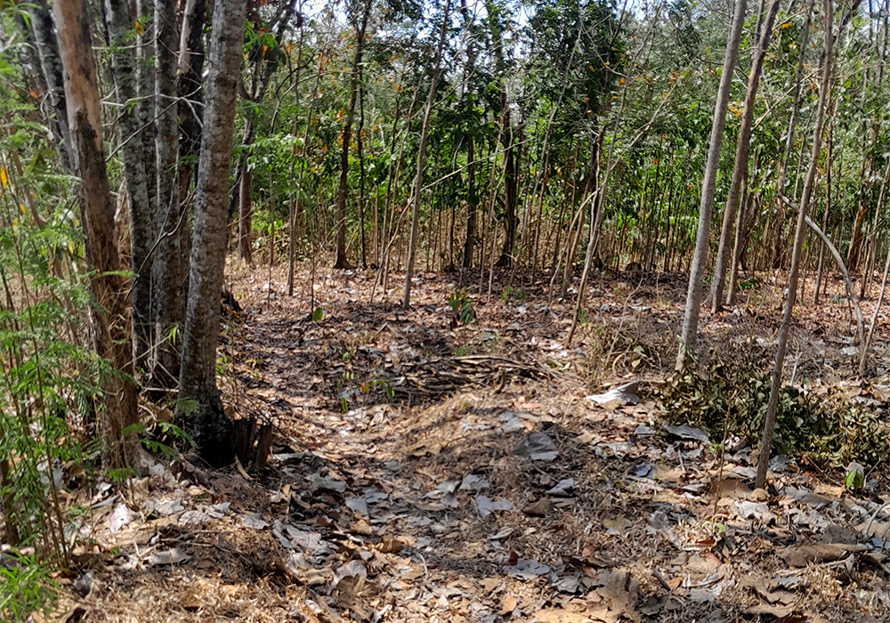 TANAH DI KAB. SUKOHARJO - WOFF351-4 di Sukoharjo, Jawa Tengah - J Trust Investments Indonesia